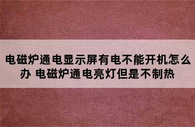 电磁炉通电显示屏有电不能开机怎么办 电磁炉通电亮灯但是不制热